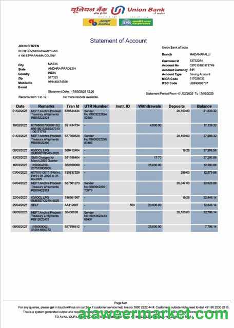 India Union Bank account statement Word and PDF template, version 2